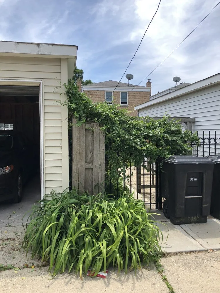 Affordable lawn mowing service for homes across Chicago, IL - Landscaping Maintenance by Moritz Welt