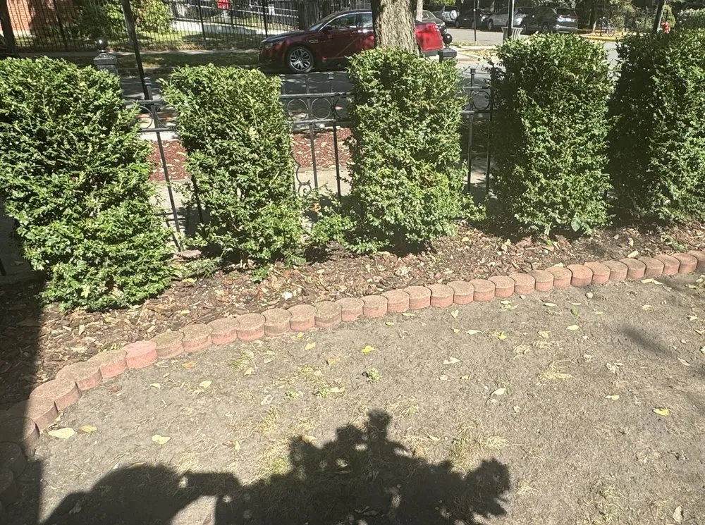 Professional residential landscaping for year-round maintenance in Chicago, IL by Landscaping Maintenance by Moritz Welt