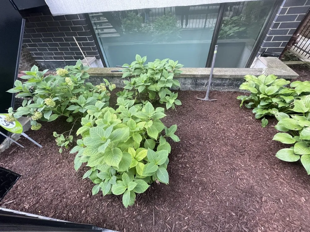 Affordable landscape installation in Chicago, IL - Landscaping Maintenance by Moritz Welt