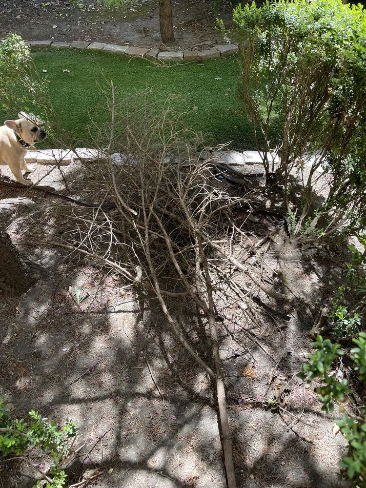 Top-rated outdoor landscaping with custom design across Chicago, IL - Landscaping Maintenance by Moritz Welt