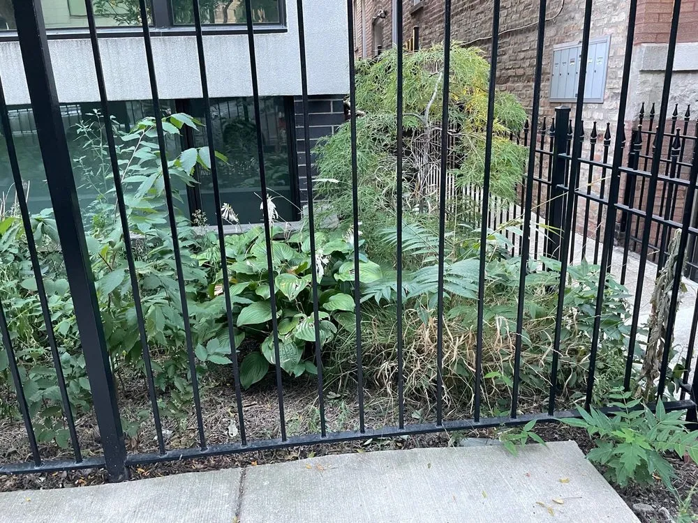 Expert residential landscaping in Chicago, IL by Landscaping Maintenance by Moritz Welt