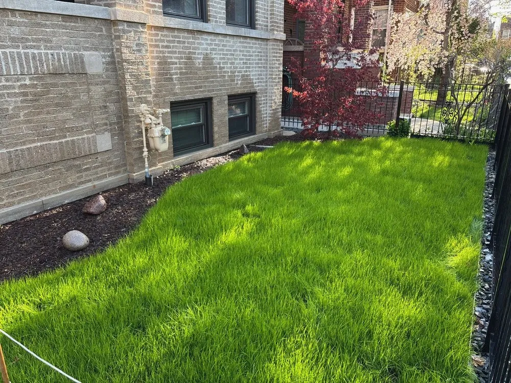 Expert yard maintenance for outdoor upgrades in Chicago, IL by Landscaping Maintenance by Moritz Welt