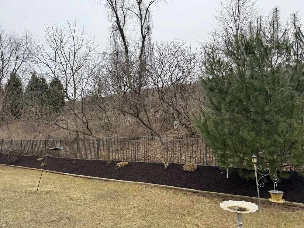 Trusted yard cleanup service for residential properties in Drums, PA by Landscaping Maintenance