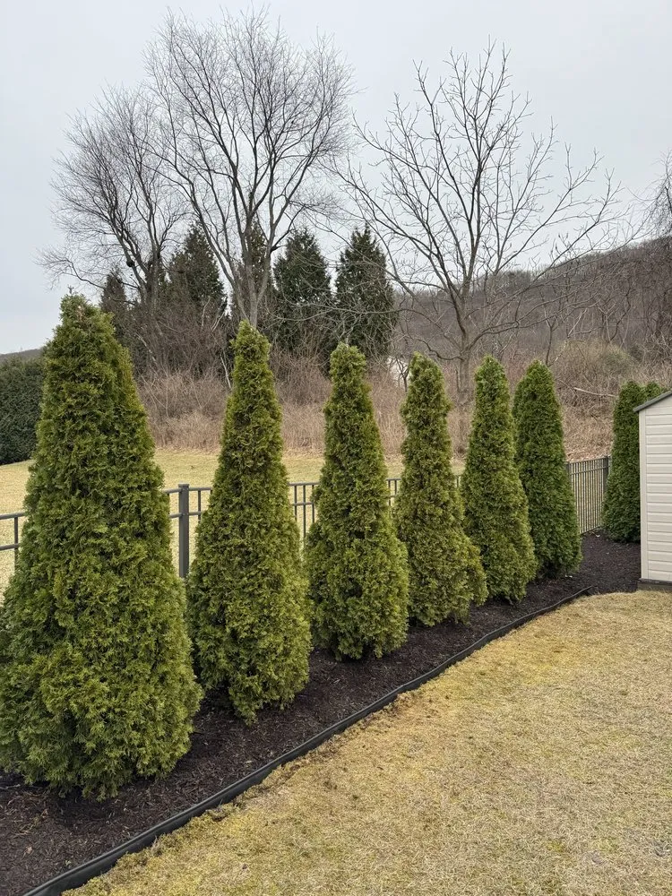Local landscaping services for year-round maintenance in Drums, PA by Landscaping Maintenance