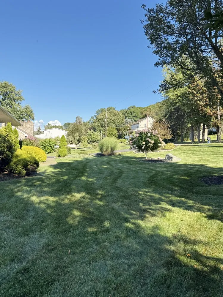 Affordable landscaping services in Drums, PA - Landscaping Maintenance