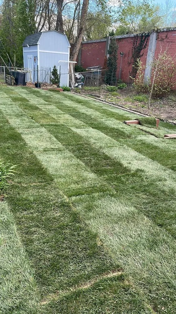 Trusted garden landscaping in Fairmount Heights, MD - Landscaping Maldonado