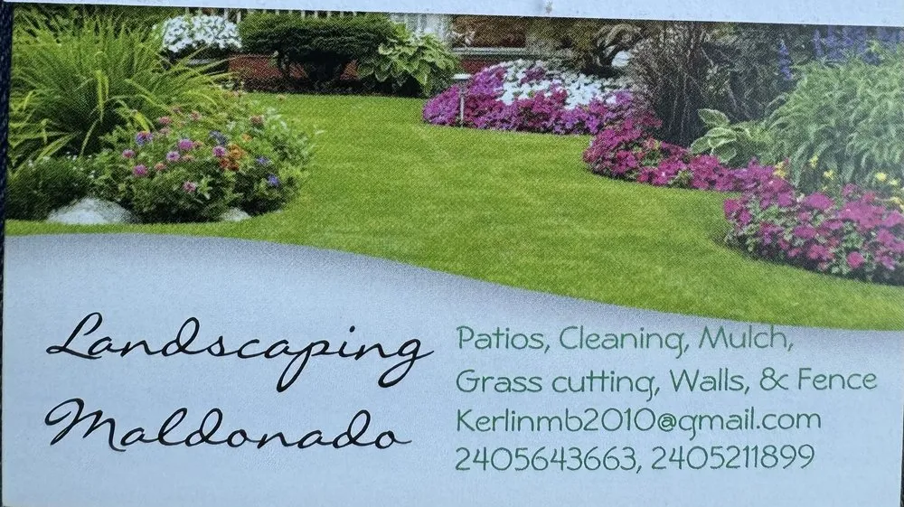 Local yard cleanup service in Fairmount Heights, MD - Landscaping Maldonado