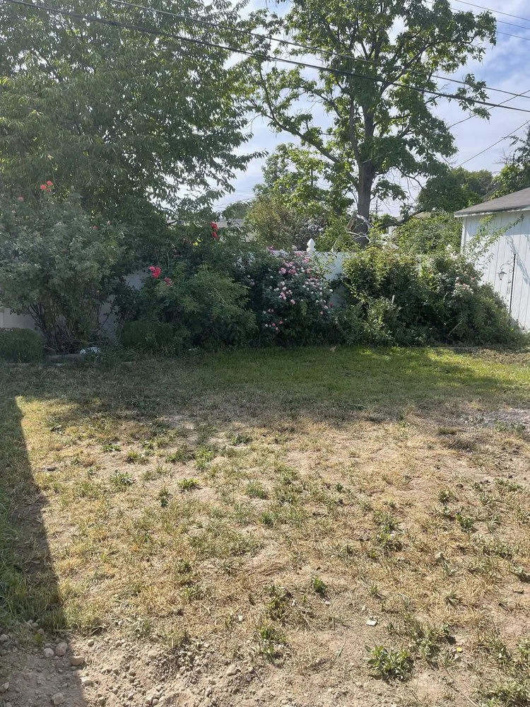 Top-rated landscaping services experts serving Salt Lake City, UT - Landscaping Masters