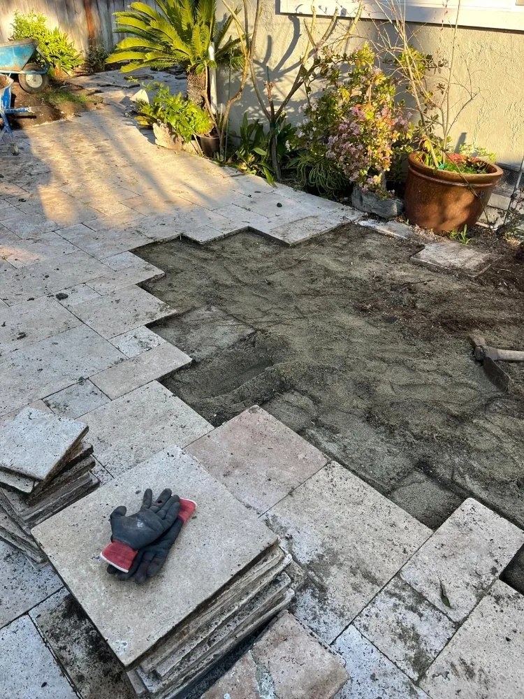 Reliable yard cleanup service in San José, CA - Landscaping Mendoza