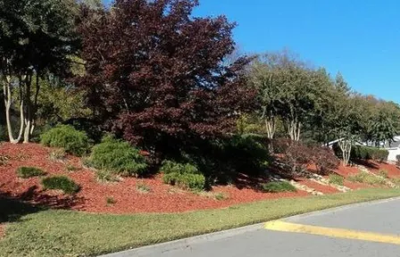 Affordable outdoor landscaping experts serving Kingston, TN - Landscaping Nature's Way