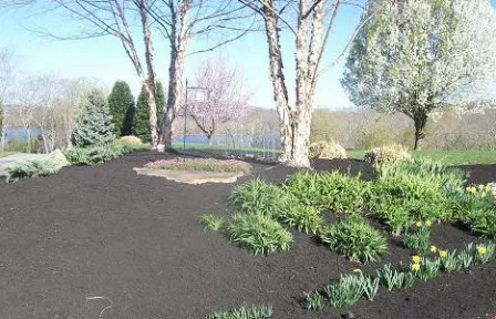 Affordable lawn care service for beautiful yards in Kingston, TN by Landscaping Nature's Way