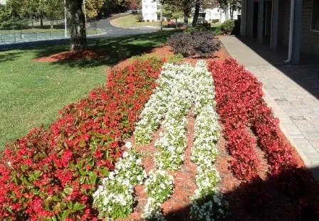 Expert yard cleanup service in Kingston, TN by Landscaping Nature's Way