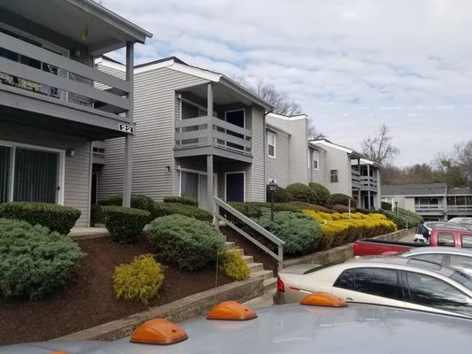 Landscaping Nature's Way