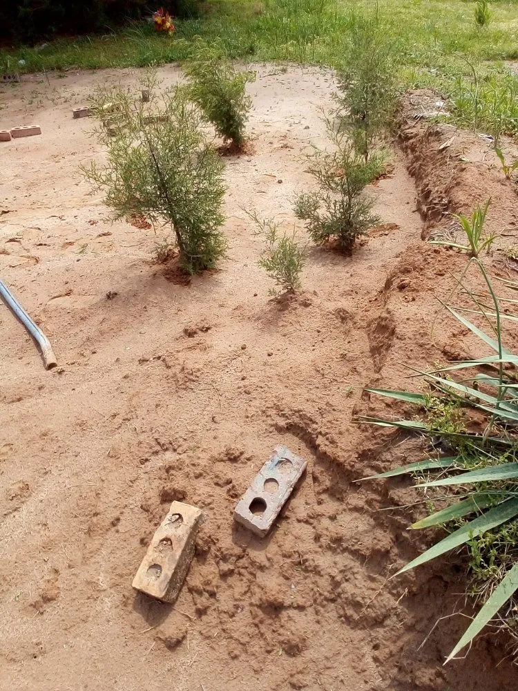 Reliable outdoor landscaping for residential properties in Neelyville, MO by Landscaping