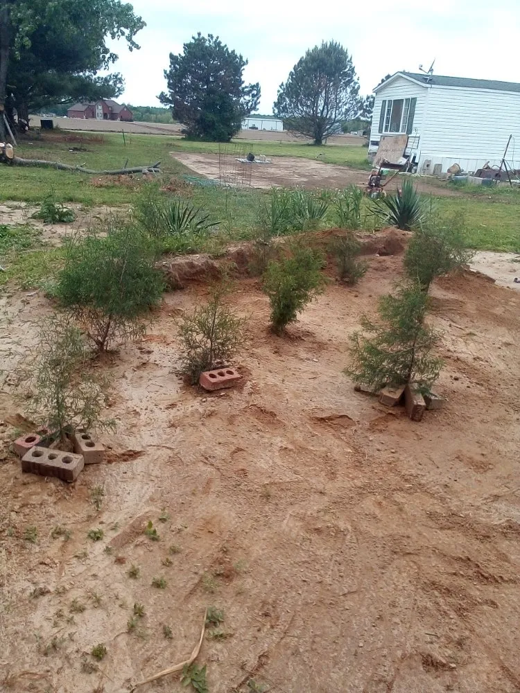 Reliable lawn care service for residential properties across Neelyville, MO - Landscaping