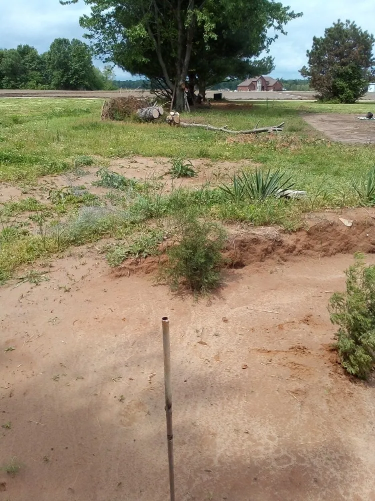 Trusted outdoor landscaping in Neelyville, MO - Landscaping