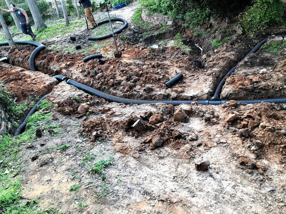 Expert lawn care service in College Station, TX - Landscaping Ninjas