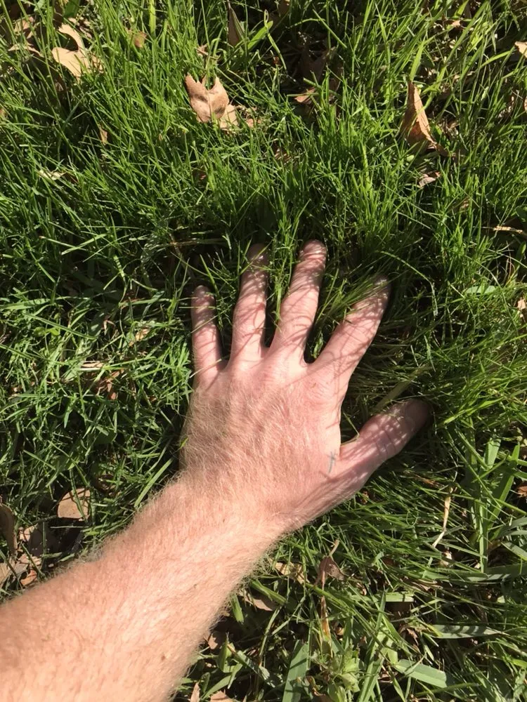 Expert landscape design in College Station, TX by Landscaping Ninjas