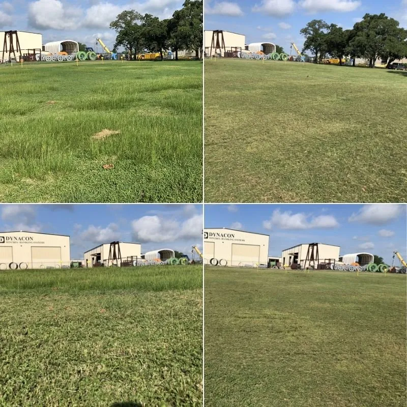 Affordable garden landscaping in College Station, TX - Landscaping Ninjas