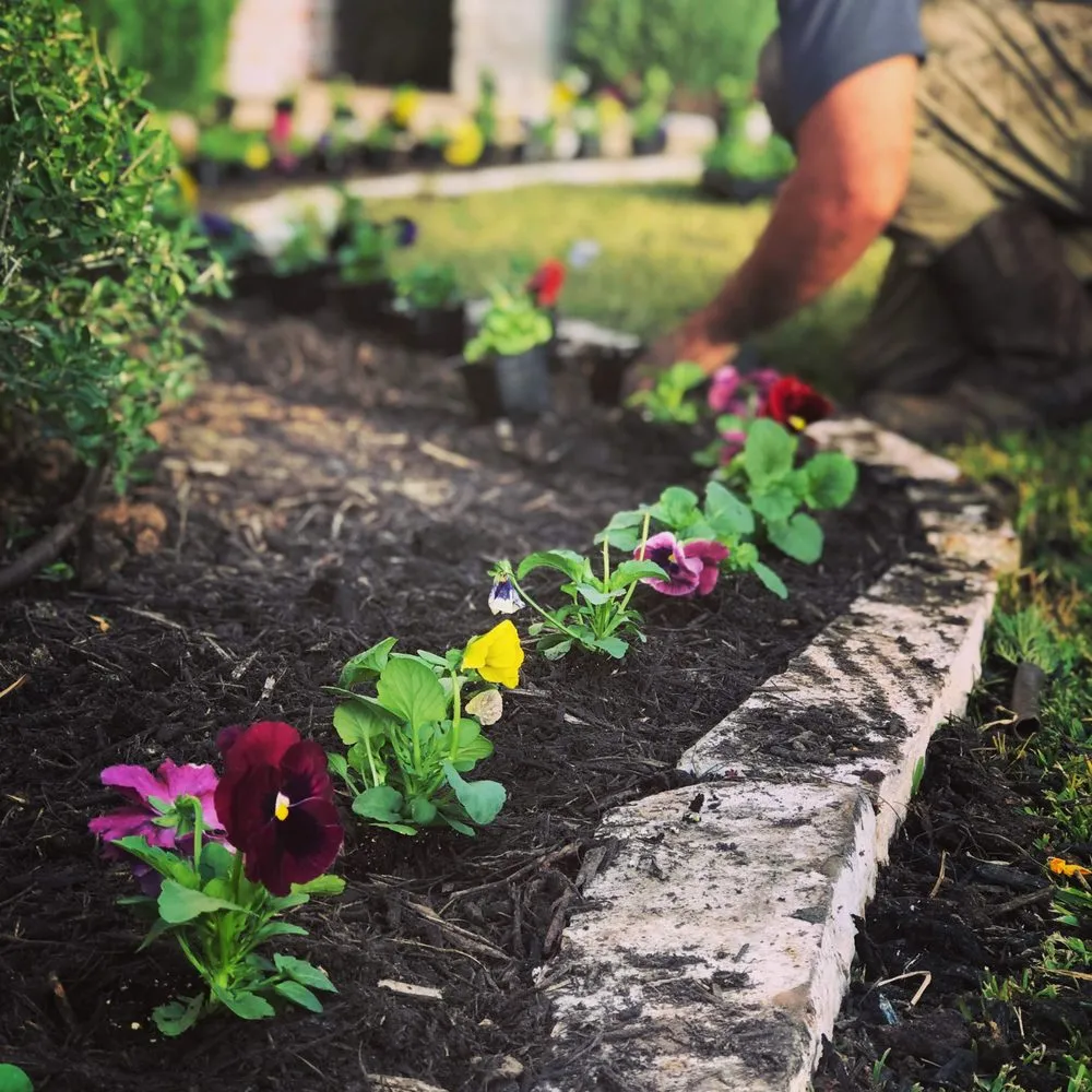 Reliable lawn mowing service experts serving College Station, TX - Landscaping Ninjas