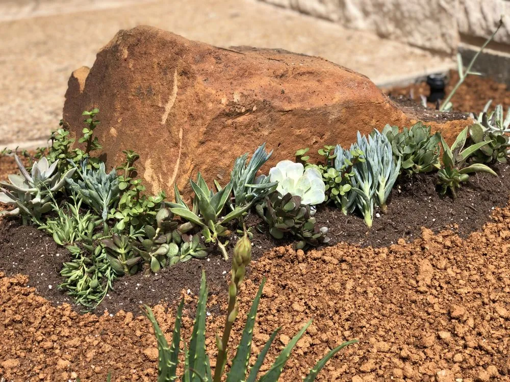 Professional outdoor landscaping in College Station, TX by Landscaping Ninjas