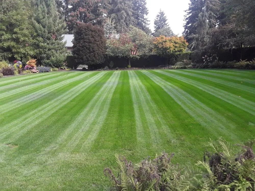 Trusted yard cleanup service experts serving Prosser, WA - Landscaping Northwest