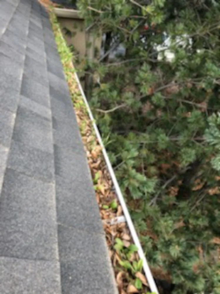 Trusted lawn mowing service for homes across Prosser, WA - Landscaping Northwest