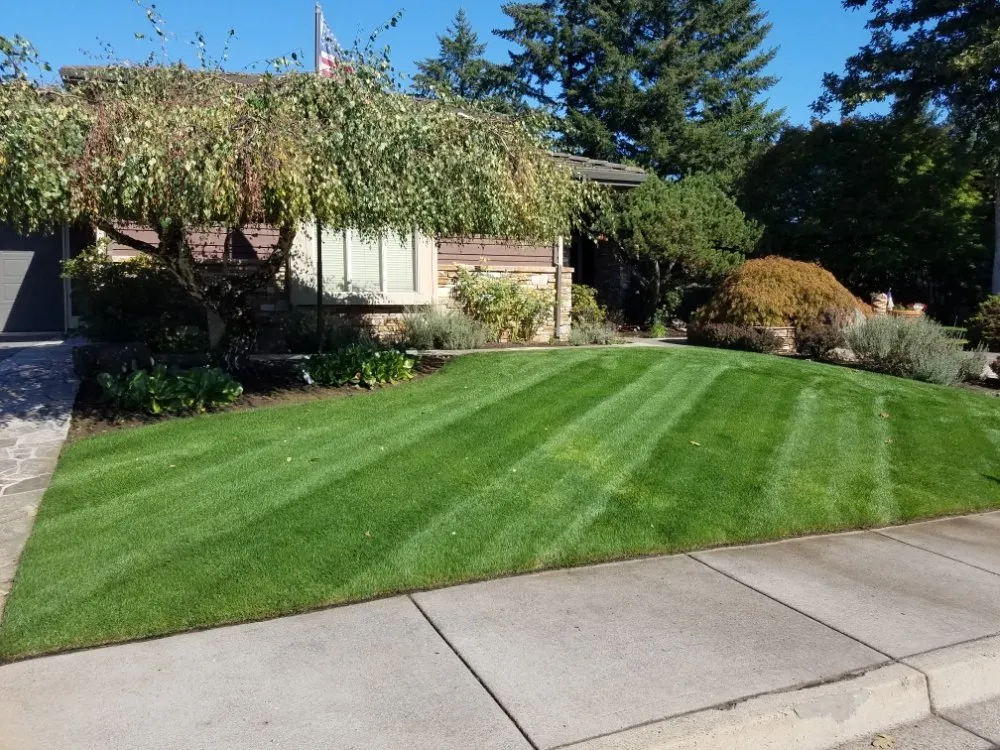 Reliable landscape design for year-round maintenance across Prosser, WA - Landscaping Northwest