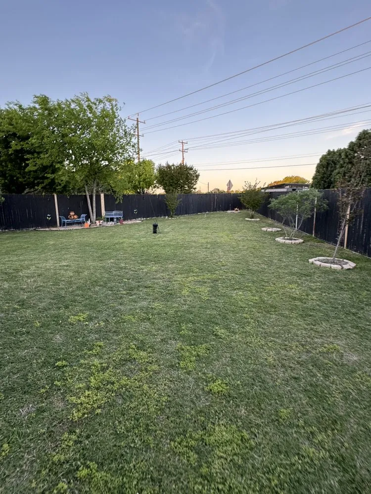 Reliable yard cleanup service in San Antonio, TX - Landscaping Of Paradise