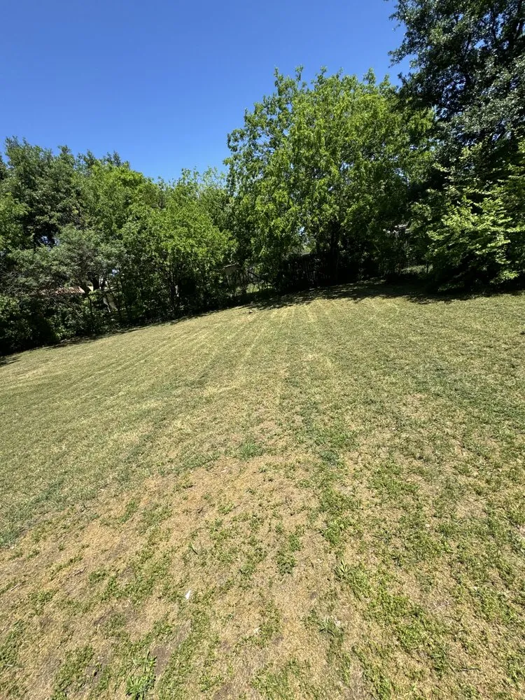 Top-rated landscaping services for year-round maintenance in San Antonio, TX by Landscaping Of Paradise