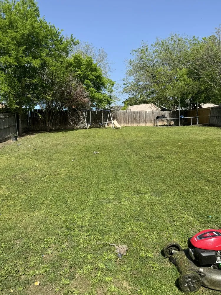 Top-rated landscape installation in San Antonio, TX - Landscaping Of Paradise