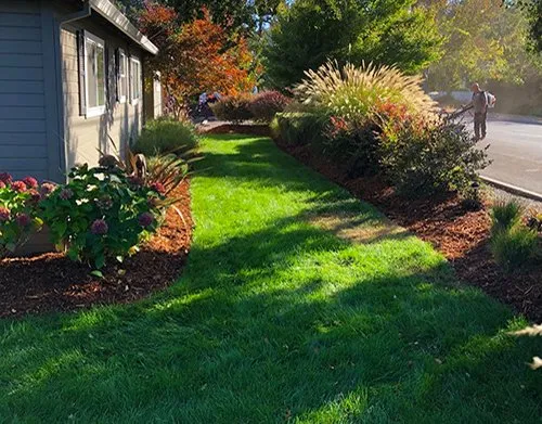 Local yard cleanup service near you across Napa, CA - Landscaping Of The Valley