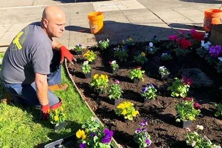 Local yard maintenance experts serving Napa, CA - Landscaping Of The Valley