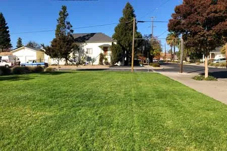 Custom landscape design for beautiful yards across Napa, CA - Landscaping Of The Valley