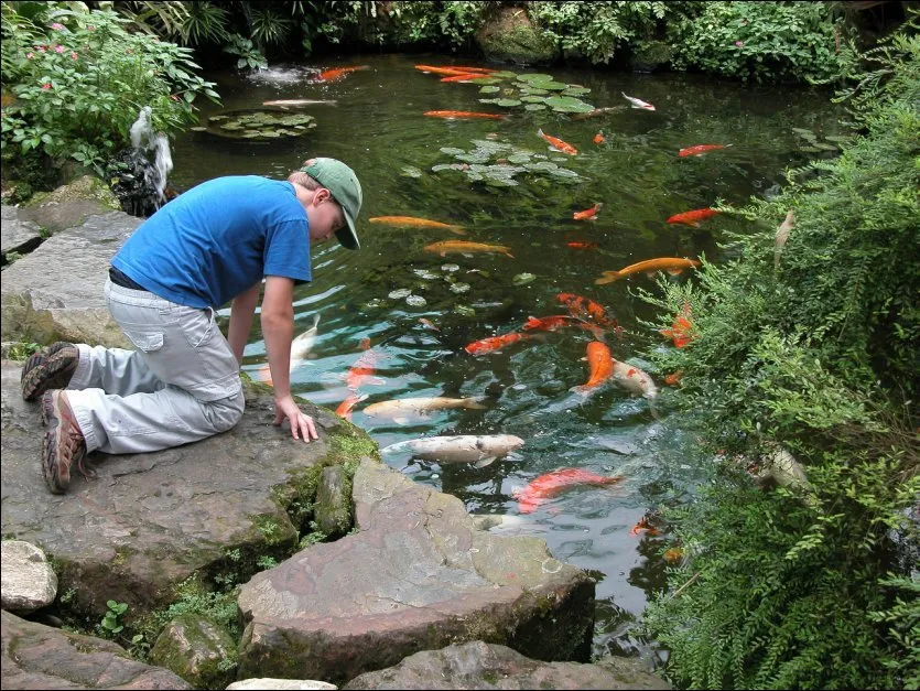 Professional garden landscaping experts serving Oklahoma CIty, OK - Landscaping OKC