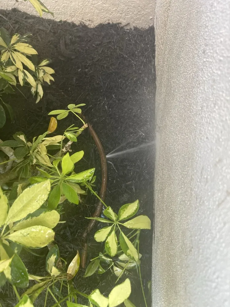 Top-rated garden landscaping for beautiful yards across Sarasota, FL - Landscaping on a Budget