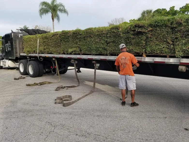 Trusted yard maintenance for residential properties in Sarasota, FL by Landscaping on a Budget