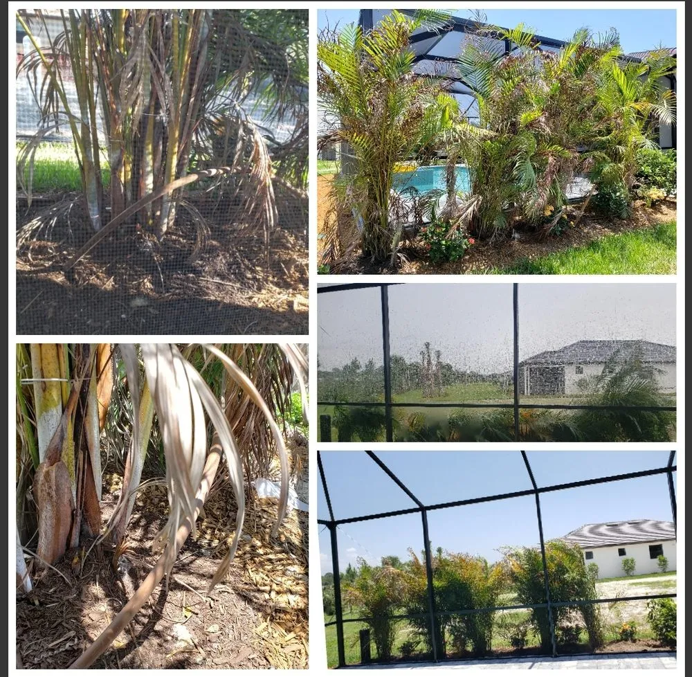 Top-rated lawn care service in Sarasota, FL - Landscaping on a Budget