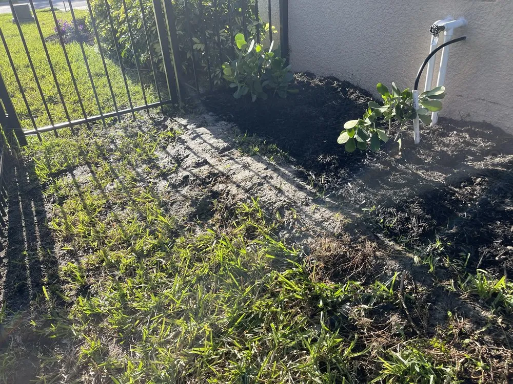 Expert lawn care service in Sarasota, FL - Landscaping on a Budget