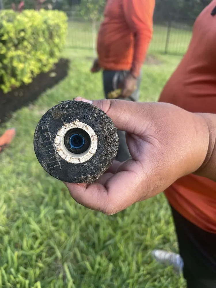 Local yard cleanup service for homes across Sarasota, FL - Landscaping on a Budget