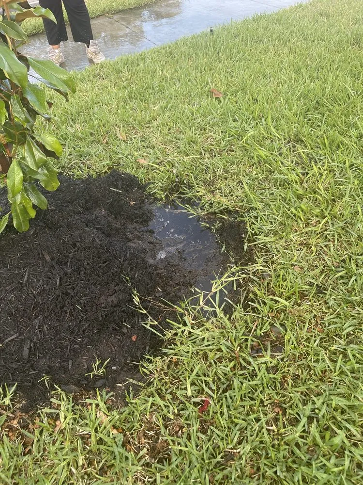 Professional landscaping services in Sarasota, FL - Landscaping on a Budget