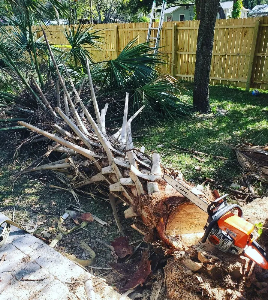 Local residential landscaping for residential properties in Tampa, FL by Landscaping On The Bay