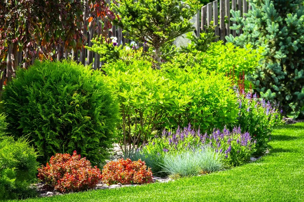 Local lawn mowing service in Oxnard, CA by Landscaping Oxnard
