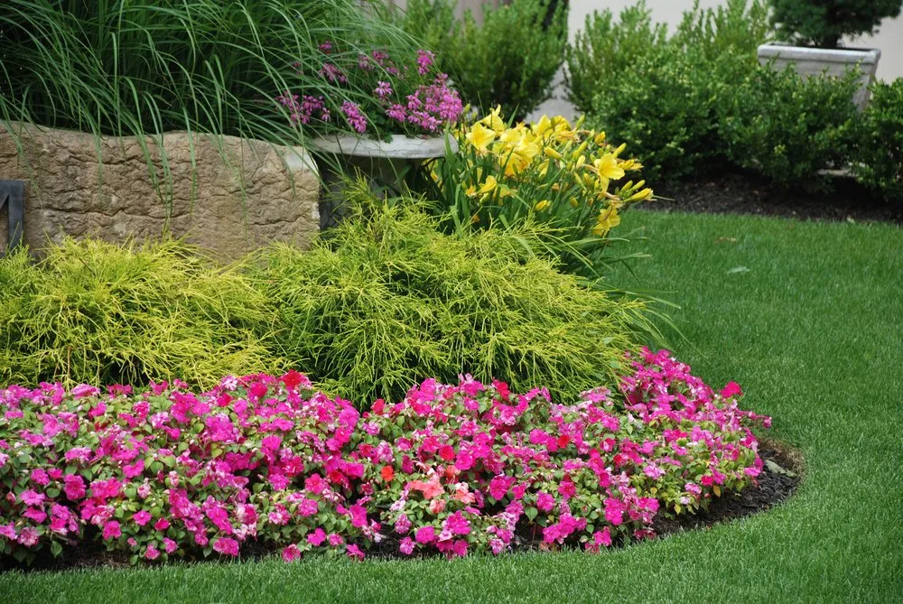 Local yard maintenance near you in Oxnard, CA by Landscaping Oxnard