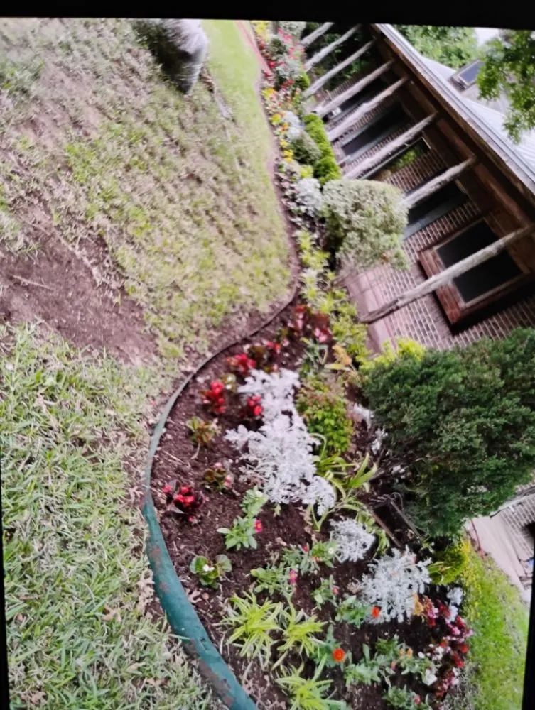 Custom lawn mowing service for residential properties across Balch Springs, TX - Landscaping Pantera