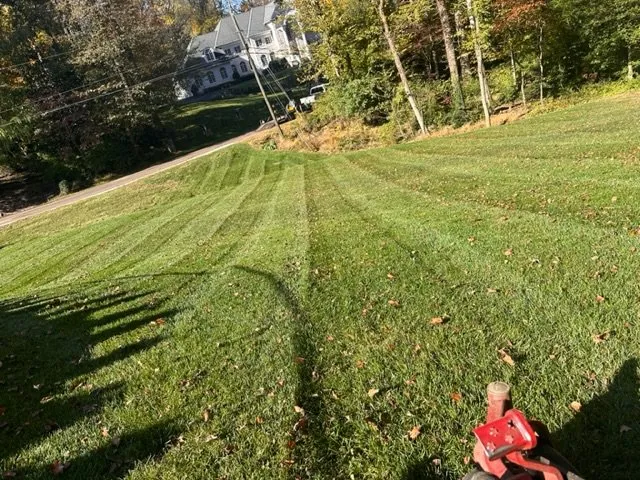 Affordable yard maintenance with custom design across Annapolis, MD - Landscaping Patrol