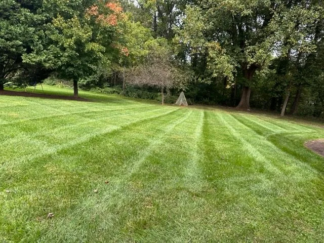 Affordable landscaping services for outdoor upgrades in Annapolis, MD by Landscaping Patrol