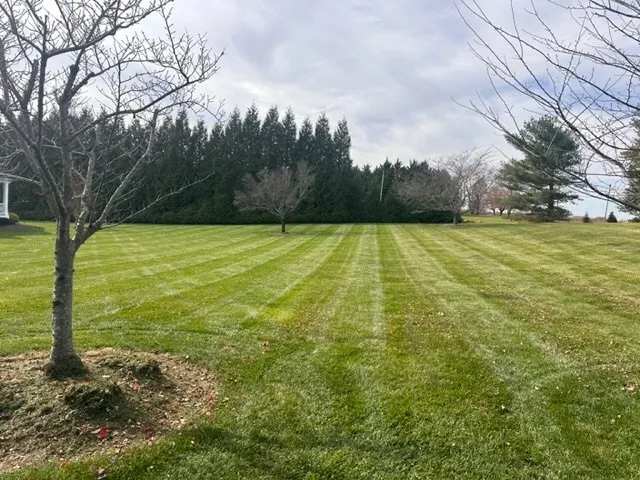 Local yard cleanup service for homes in Annapolis, MD by Landscaping Patrol