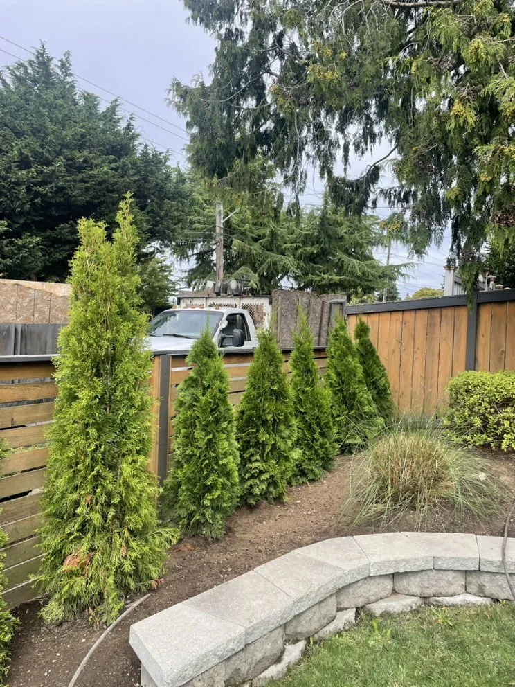 Top-rated landscaping services for residential properties in Bellevue, WA by Landscaping Perez G
