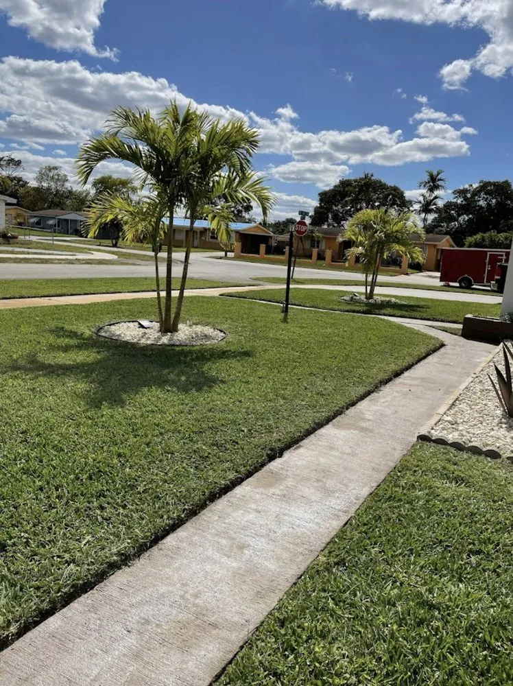 Custom yard cleanup service in North Miami, FL - Landscaping PHC